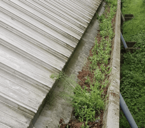 Happy customers in Hemel Hempstead who trust The Roof Moss Cleaners for gutter cleaning services